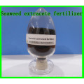 Seaweed Extract Fertilizer